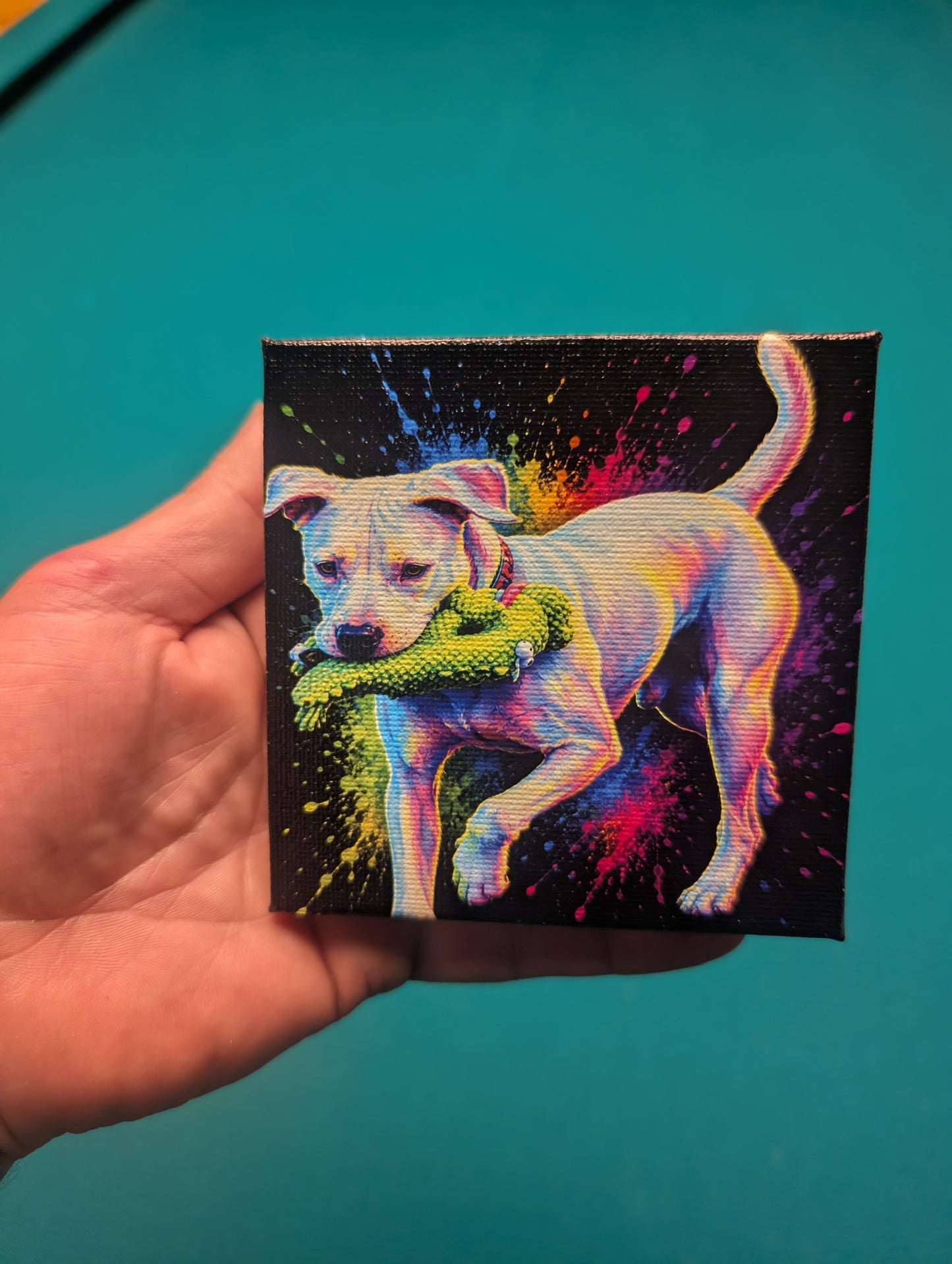 Custom UV Printed Photo Canvas