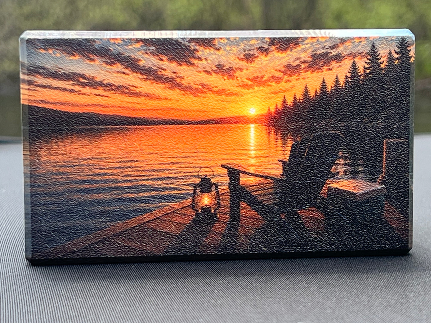 EVOK Shuttle — Lake Life Phone Amplifier